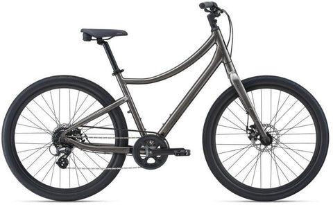 Comfort Bike Rental Vida