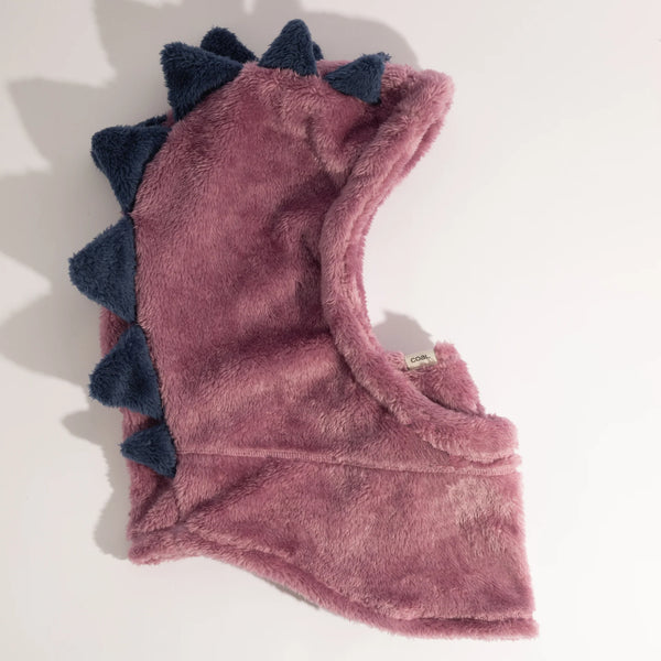 Coal Ridge Kids Hood Purple