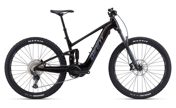 E Mountian Bike Rental