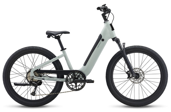 E Bike Rental Momentum Vida E
