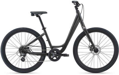 Comfort Bike Rental Vida Low Step
